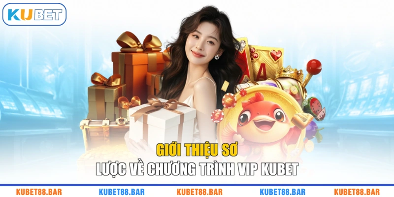 Giới thiệu sơ lược về chương trình VIP KUBET